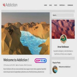 Addiction Blogger Theme Premium Version