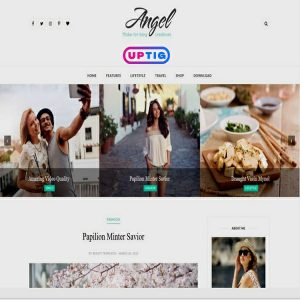Angel Blogger Theme Premium version