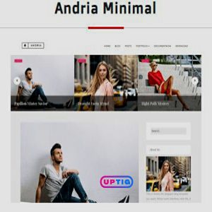 Andria Blogger Theme Premium version