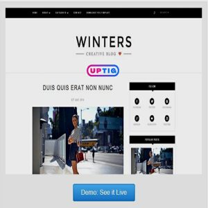 Winters Premium Version Blogger Theme