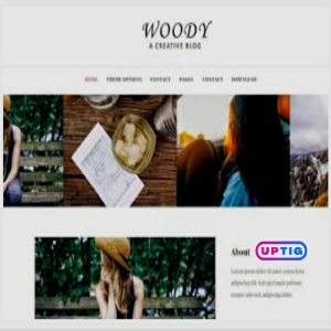 Woody Premium Version Blogger Theme