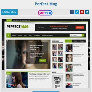 Perfect Mag Premium Version Blogger Theme