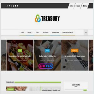 Treasury Premium Version Blogger Theme