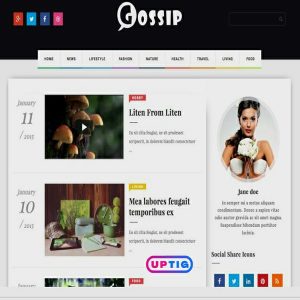 Gossip Premium Version Blogger Theme