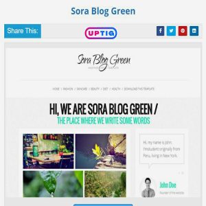 Sora Blog Green Premium Version Blogger Theme